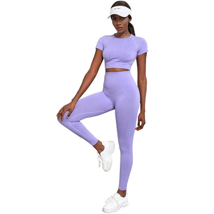 Popular European and American Hot-selling Seamless Sports Yoga Suit Women's Quick-drying Fitness Suit High Waist Hip Yoga Pants Suit